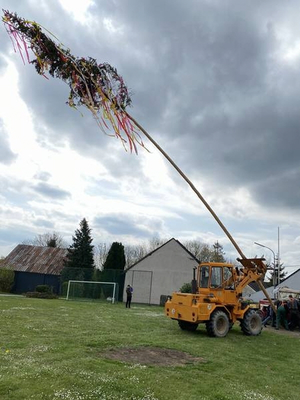 Maibaum