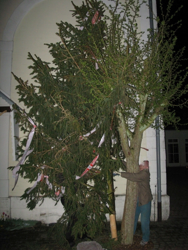 da war man anderorts auch zu sorglos gewesen.
die Spitze war dann in Koxhausen zu sehen.
der Spruch "die sieht ja genau so aus, wie unsere Maibaum-Spitze" wurde mit viel Gelächter quittiert.
