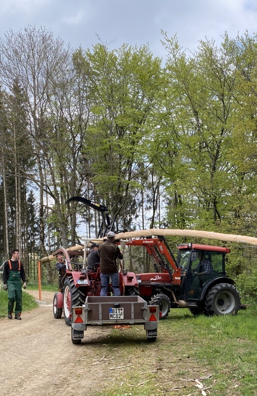 fertig geschält nun zum Transport aufladen