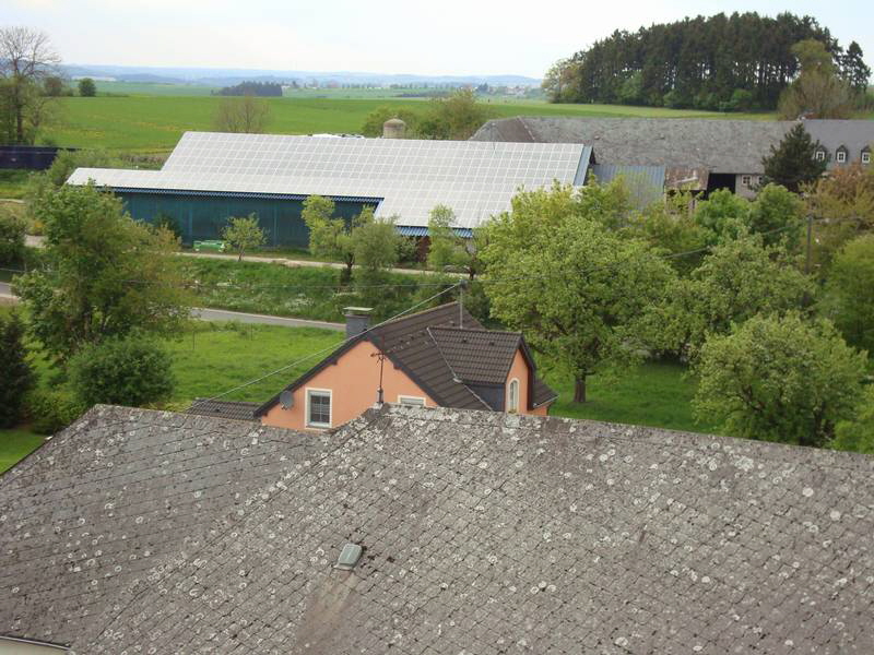 de Fichtenbech am hannergrond(Fichtenwldchen im Hintergrund)