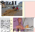 Seite11